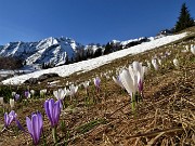 PASSO SAN SIMONE e FORCELLA ROSSA da San Simone-Baita Camoscio- 8magg21- FOTOGALLERY